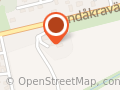 Kinesiska Nålar