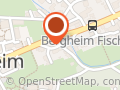 Schnalzerverein Bergheim