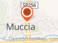 Municipio