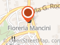 Fioreria Mancini Sas Di Mancini Gianluca & C.