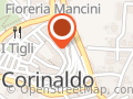 Fiori E Piante Annalisa Flor