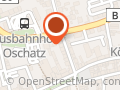 Orient-Pizza-Service