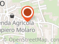Bar Alla Vendemmia