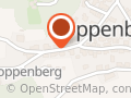 Friesenpferde vom Lindenbaum