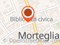 Toelettatura Mortegliano LOVE FOR DOGS di Samanta Turello
