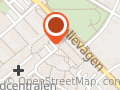 Synenheten vuxna