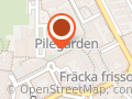 Polisen