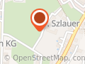 Dr. SZLAUER, Roman