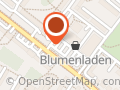 Blumen-Hollunder