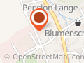 WZW GmbH