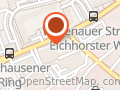 Löwenmähne Tina Otschik