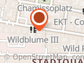 kurvenrausch.com