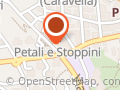 Mamo's Store S.r.l. Abbigliamento