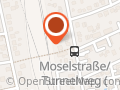 Moderne Floristik für jeden Anlass Christine Lemke