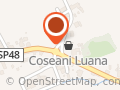 Coseani Luana