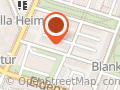 Berliner Fohlen