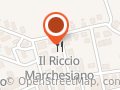 Il Lusitano Bacalhau