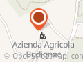 "Azienda Agricola Budignac" di Tonut Daniele