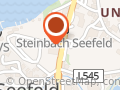 Gustav Mahler Festival Steinbach am Attersee