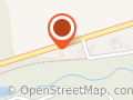 Margitta Hamann