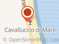 Cavalluccio di Mare