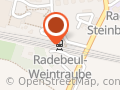 Radebeuler Ricochet-Verein