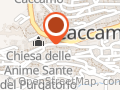 Amazon Counter - AGENZIA