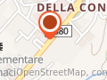Dillo Con Un Fiore Di Marini Nicole