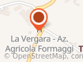 LA VERGARA di Rapini Luciano e Martoni Maria Costanza