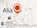 Alia Srl