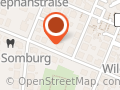 Dr.med.dent. Obst, Anne