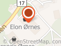 Elon Ørnes