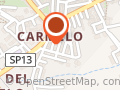 Special Day Di Carmela Bruno