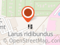 Institut Lernen und Leben e.V. Kita Larus ridibundus