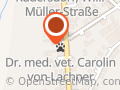Paulaeck Gabriele Dvm Tierarztpraxis