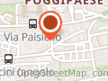 Pizzamus Licia