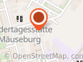 Qigong und Fünf Elemente Ernährung Dresden