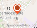 Qigong und Fünf Elemente Ernährung Dresden
