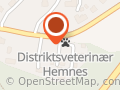 Veterinær Atle Thorkildsen