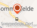 Freiwillige Feuerwehr