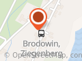 Brodowinfisch