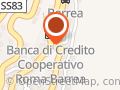 Piante E Fiori Il Bucaneve