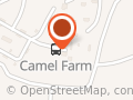 Award Winning Camel Tours, Uluru