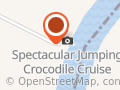Spectacular Jumping Crocodile Cruise