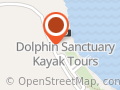 Dolphin Sanctuary Kayak Tours