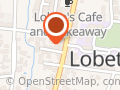 The Lott