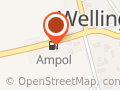 Wellington Mini Mart