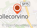Avis Collecorvino