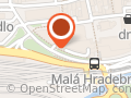 Meatfly