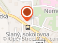 Tělocvičná jednota Sokol Slaný